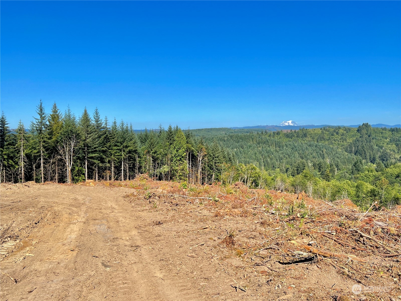 499 Centralia Alpha Road, Unit 1 Chehalis, WA 98532 - Photo 10 of 40 Gallery Image 10