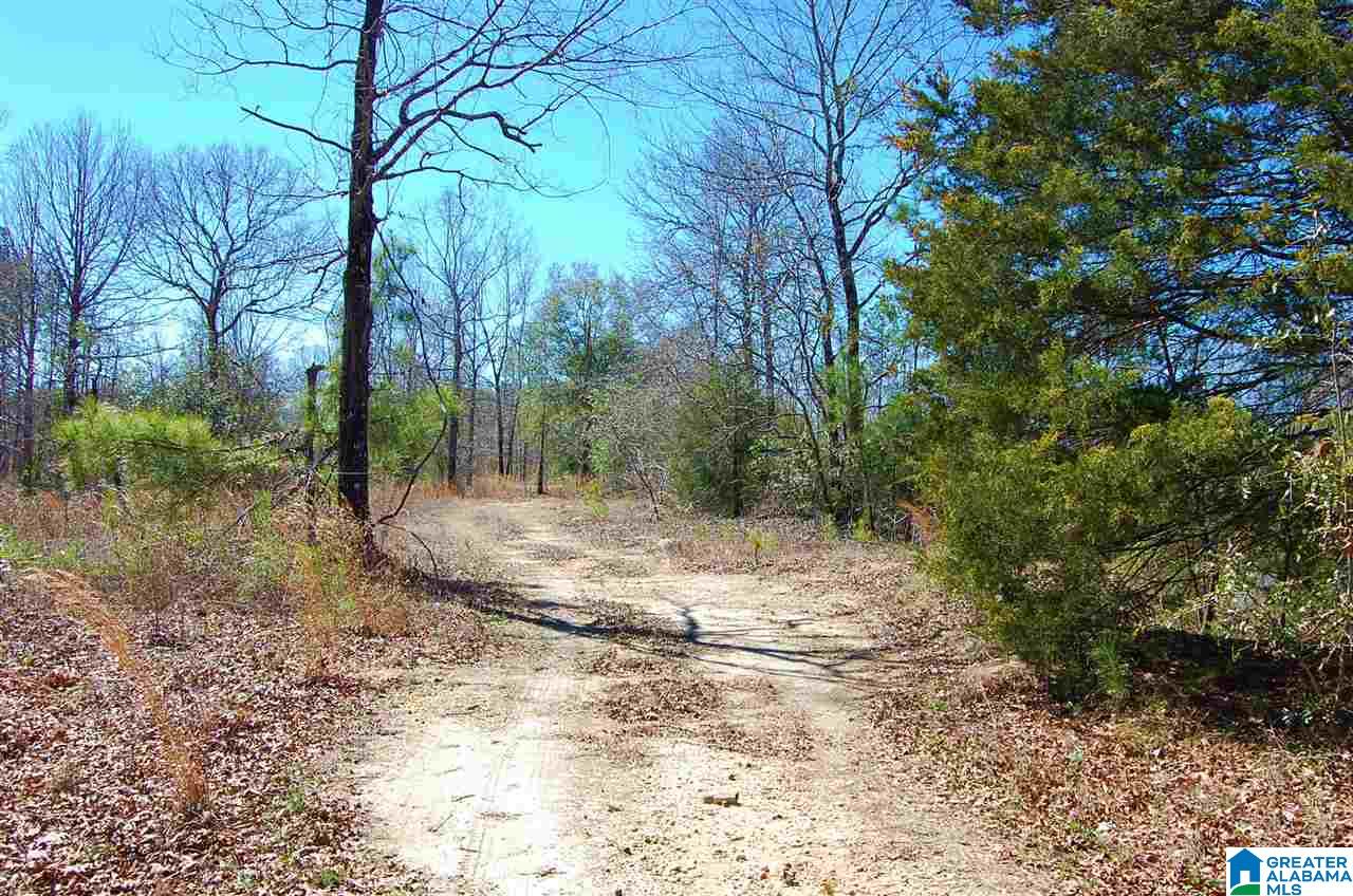 0 Melissa Robyn Road, Unit 1 Deatsville, AL 36022 - Photo 19 of 29