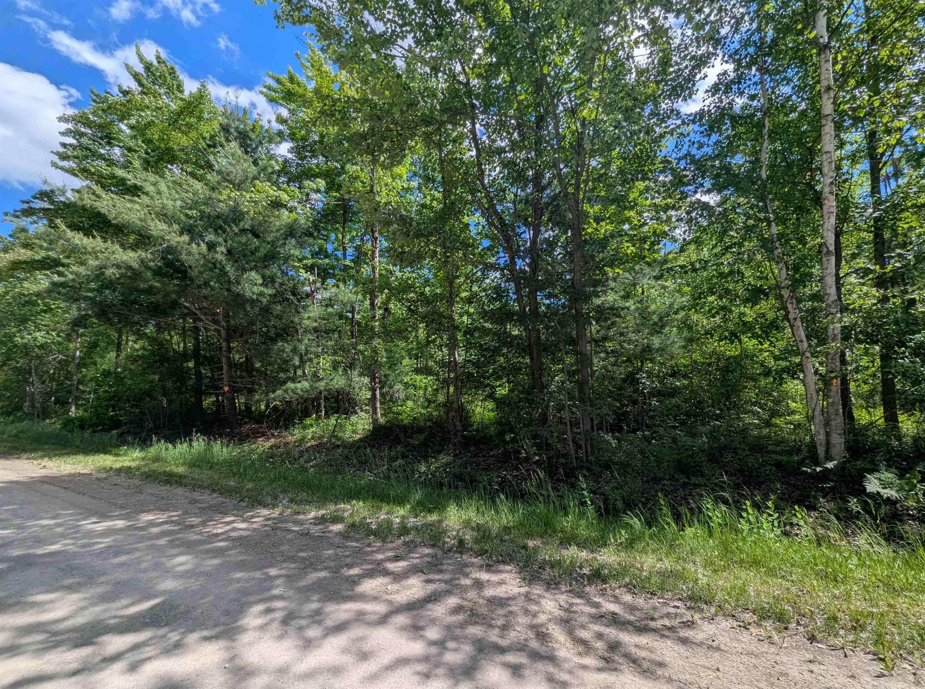 N/a Bordeau Road Standish, MI 48658 - Photo 7 of 8