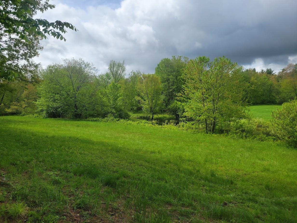 0 Eastern District Road Danbury, NH 03230 - Photo 5 of 13