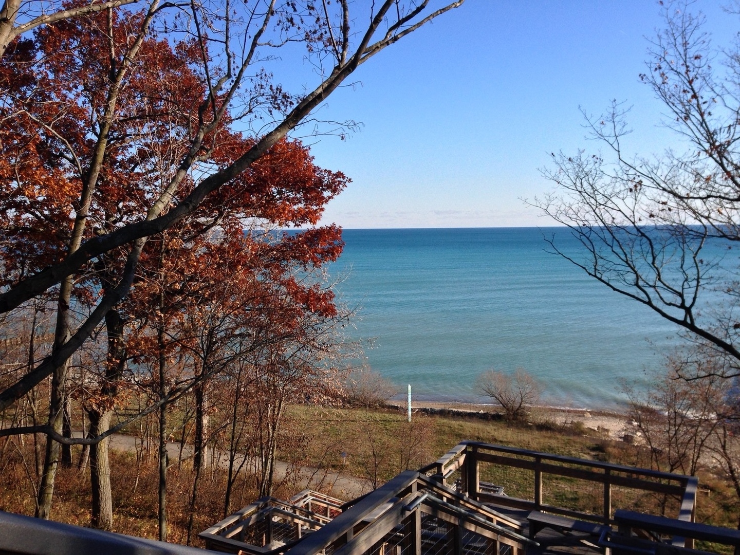 800 De Roo Loop Highwood, IL 60040 - Photo 18 of 22 a backyard of a house with lots of green space