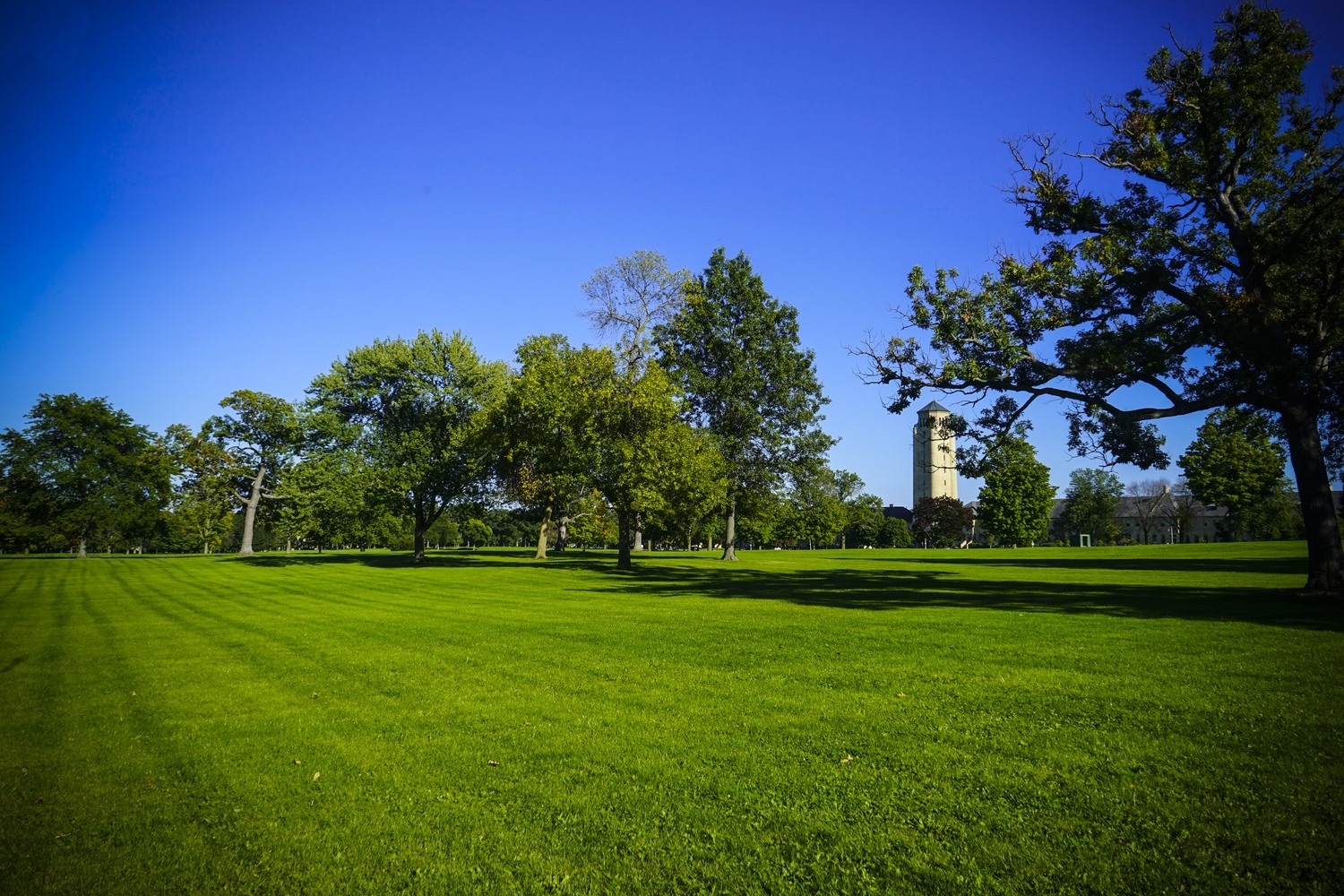 800 De Roo Loop Highwood, IL 60040 - Photo 20 of 22 a backyard of a house with lots of green space and outdoor seating