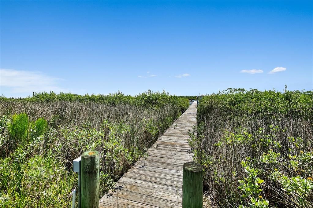 644 Riverview Road Flagler Beach, FL 32136 - Photo 59 of 66