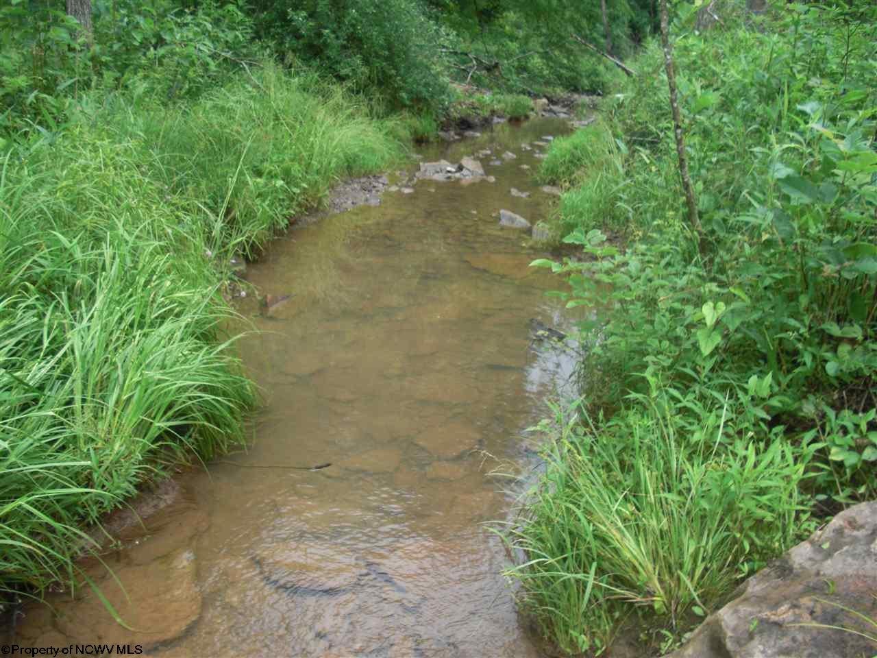 1065 Big Run Road Napier, WV 26631 - Photo 6 of 20 Gallery Image 6