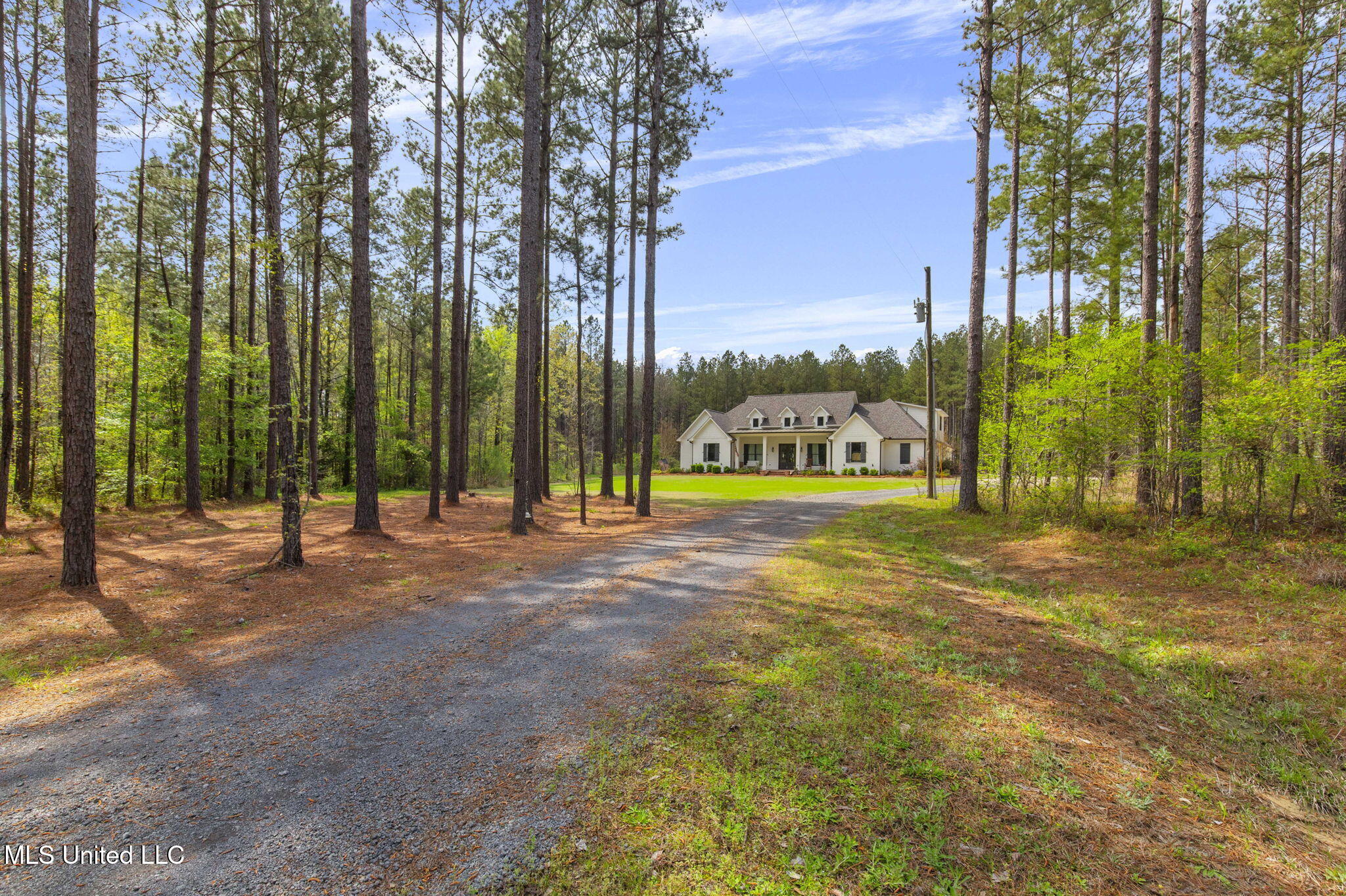 205 Stump Ridge Road Brandon, MS 39047 - Photo 1 of 104 1-web-or-mls-205 Stump Ridge-1