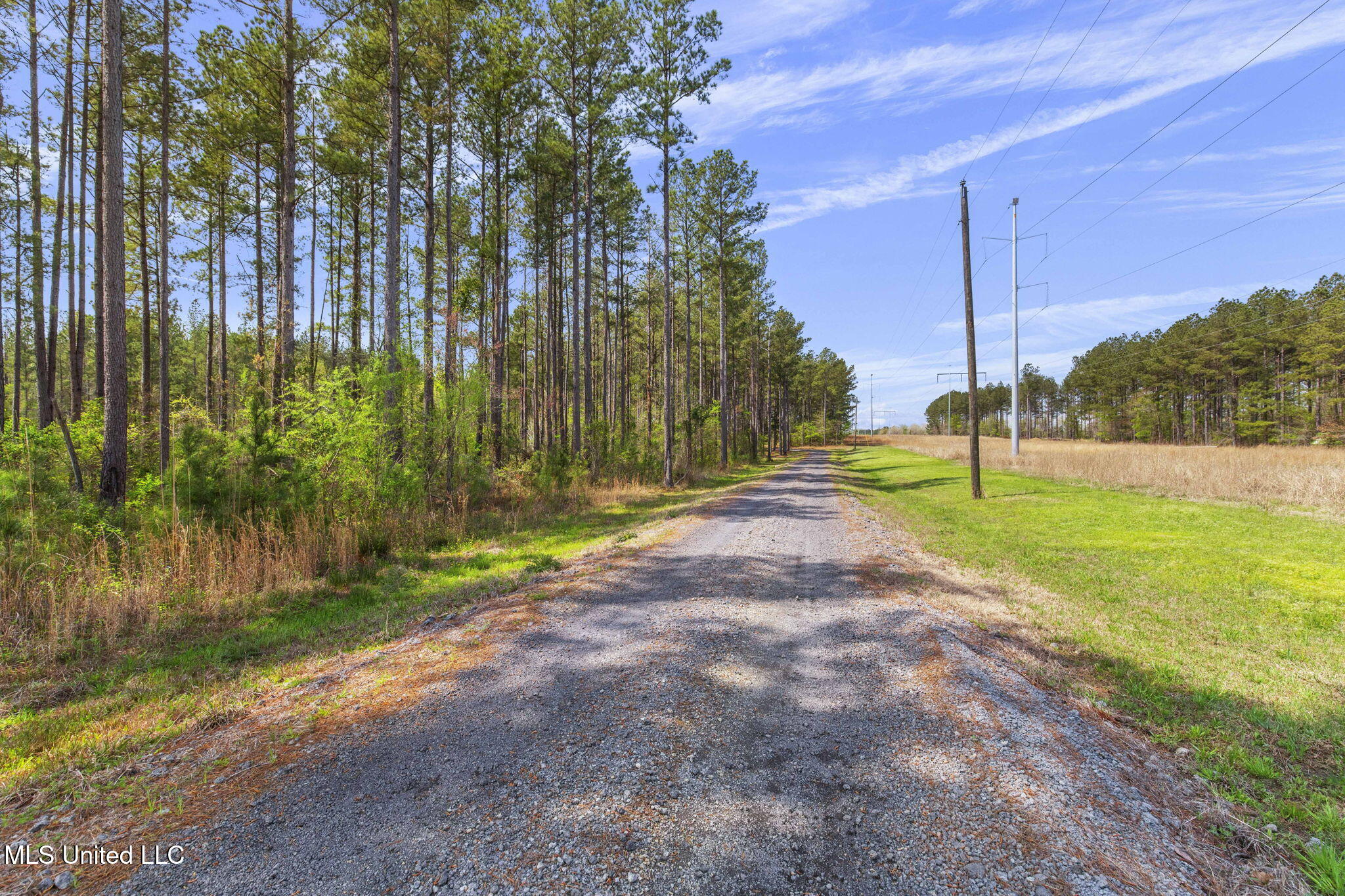 205 Stump Ridge Road Brandon, MS 39047 - Photo 92 of 104 93-web-or-mls-205 Stump Ridge-95