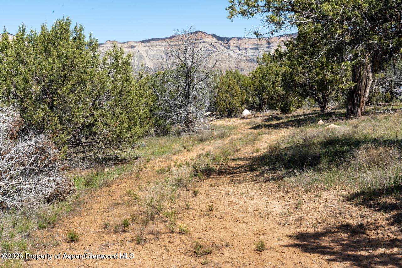 Tbd T Road De Beque, CO 81630 - Photo 13 of 25 13 Large
