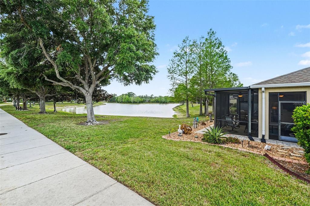 2134 Barracuda Court Holiday, FL 34691 - Photo 31 of 36 a garden with trees in front of it
