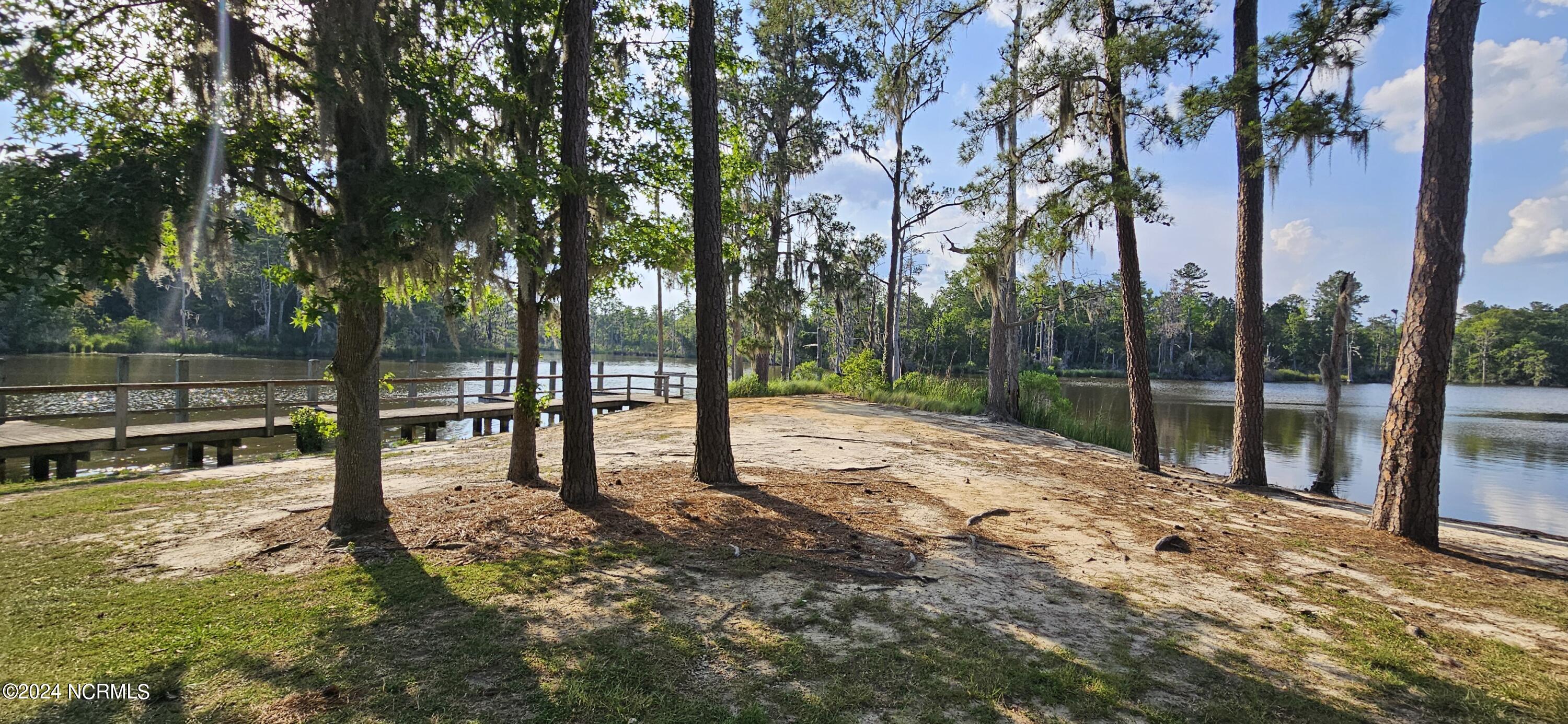 55 Long Point Road Chocowinity, NC 27817 - Photo 17 of 20 Community Area