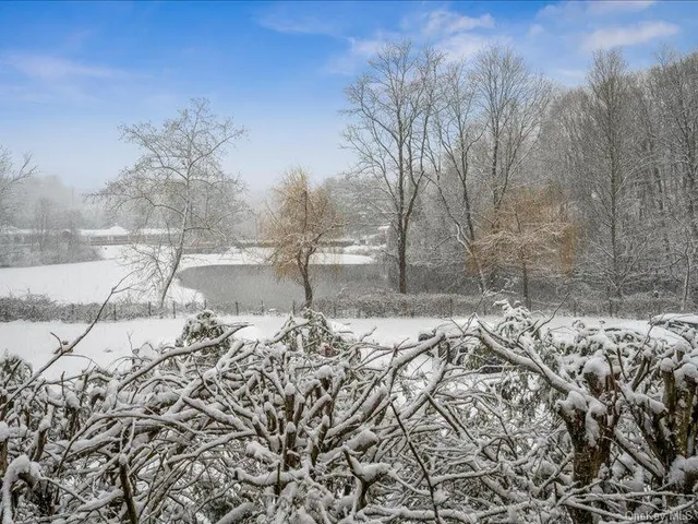 a view of a backyard of the house