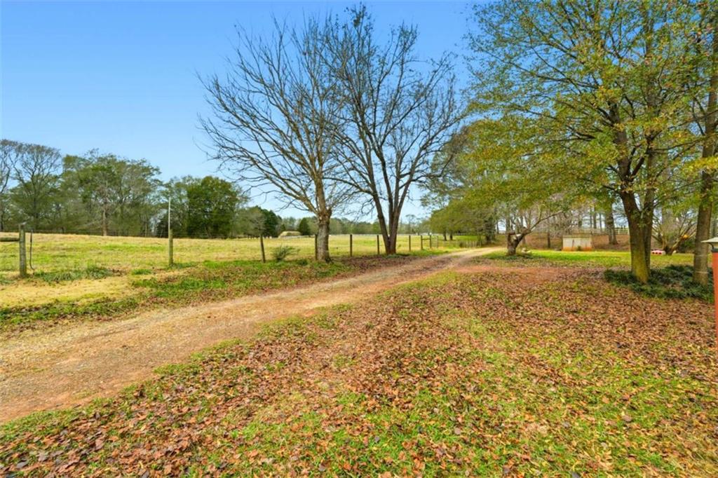 1295 Double Bridges Road Winder, GA 30680 - Photo 32 of 59 a view of yard with tree