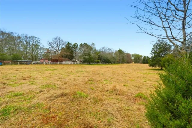 a garden with trees in the background