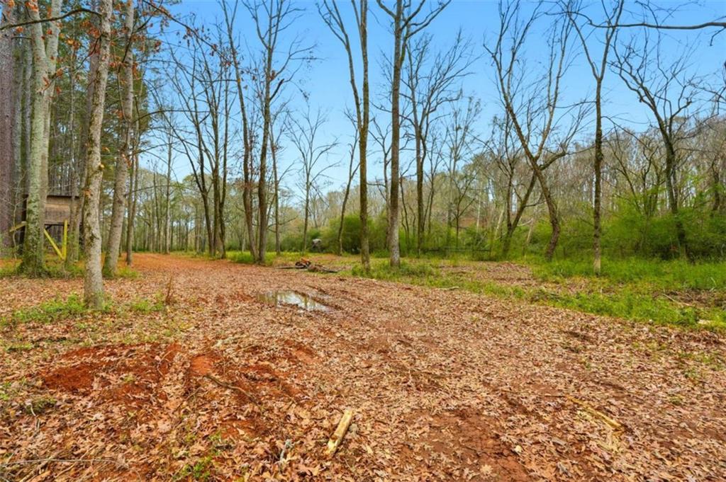 1295 Double Bridges Road Winder, GA 30680 - Photo 50 of 59 a backyard of a house with lots of green space