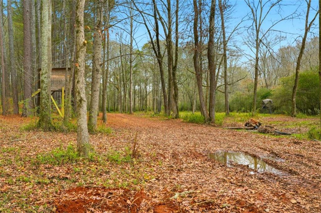 1295 Double Bridges Road Winder, GA 30680 - Photo 51 of 59 a backyard of a house with lots of green space