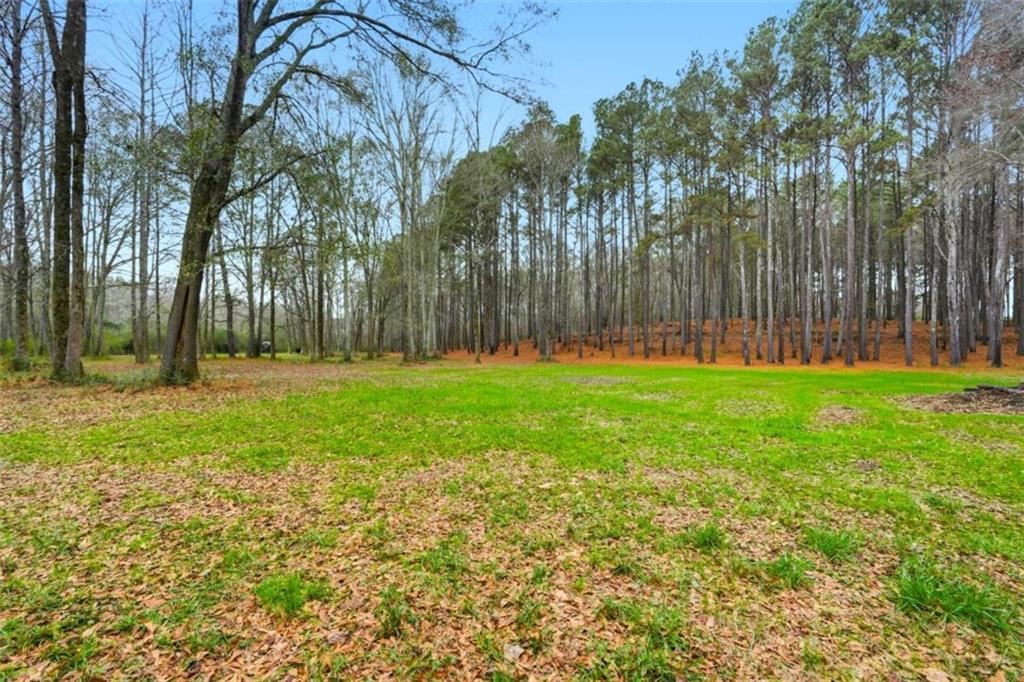 1295 Double Bridges Road Winder, GA 30680 - Photo 52 of 59 a view of garden with trees