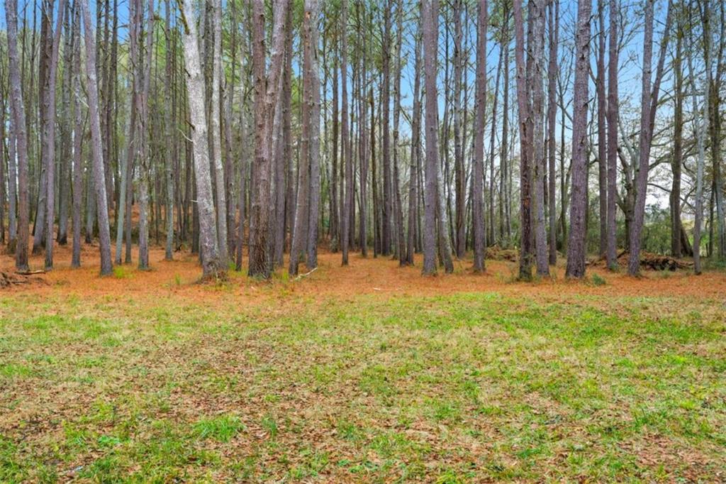 1295 Double Bridges Road Winder, GA 30680 - Photo 54 of 59 a view of outdoor space with trees