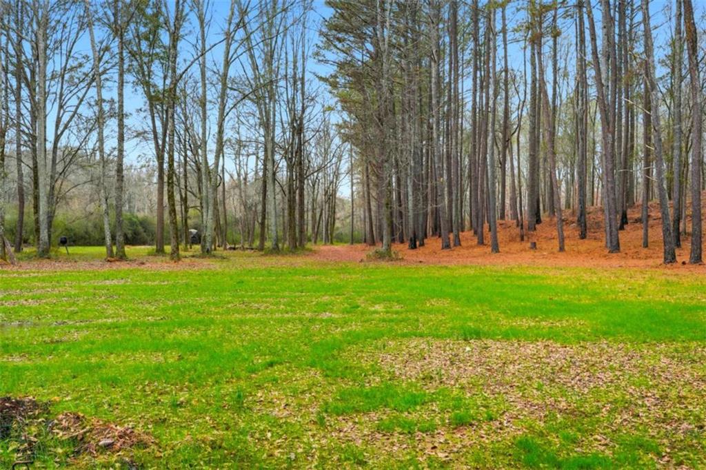 1295 Double Bridges Road Winder, GA 30680 - Photo 55 of 59 a view of yard with entertaining space and trees
