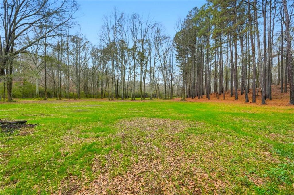 1295 Double Bridges Road Winder, GA 30680 - Photo 56 of 59 a grassy field with trees in the background