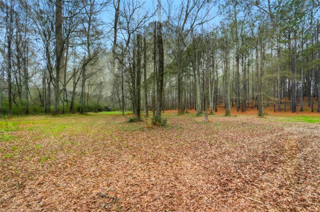 1295 Double Bridges Road Winder, GA 30680 - Photo 57 of 59 a backyard of a house with lots of green space