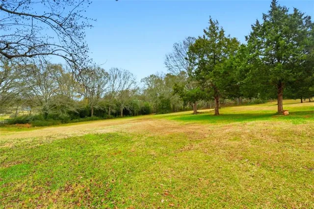 a backyard of a house with lots of green space
