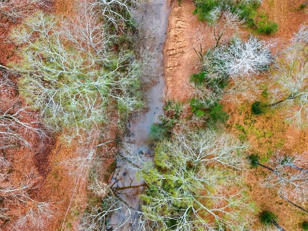 1295 Double Bridges Road Winder, GA 30680 - Photo 8 of 59 a backyard of a house with lots of green space