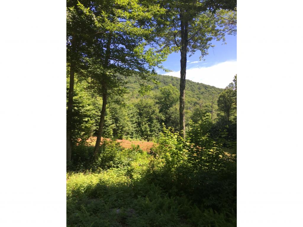 1239 Lot 91) Wade Pasture Road Stowe, VT 05672 - Photo 2 of 3 Gallery Image 2