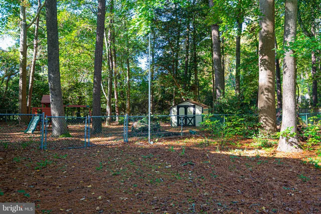 a view of outdoor space with deck and trees