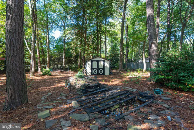 a view of a yard with plants and trees