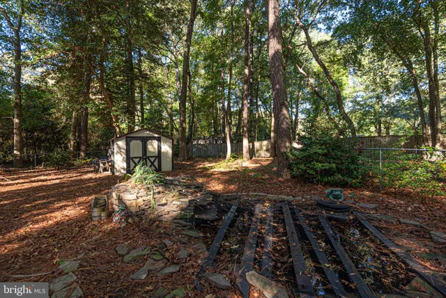 a view of yard with trees