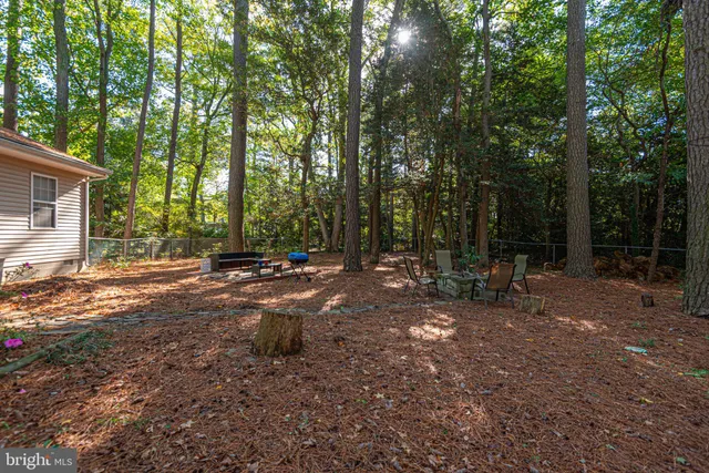 a view of a tree in the middle of a yard