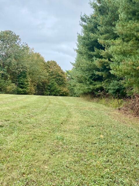 0 Davis Road Campbellsville, KY 42718 - Photo 15 of 18 IMG_3059