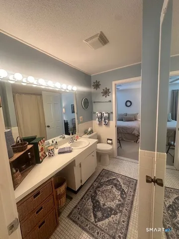 a bathroom with a sink a toilet a mirror and vanity