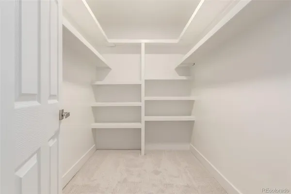 a view of an empty walk in closet