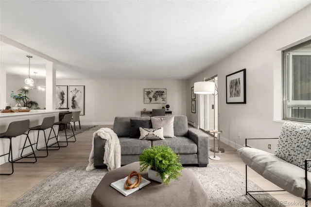 a living room with furniture potted plant and a window