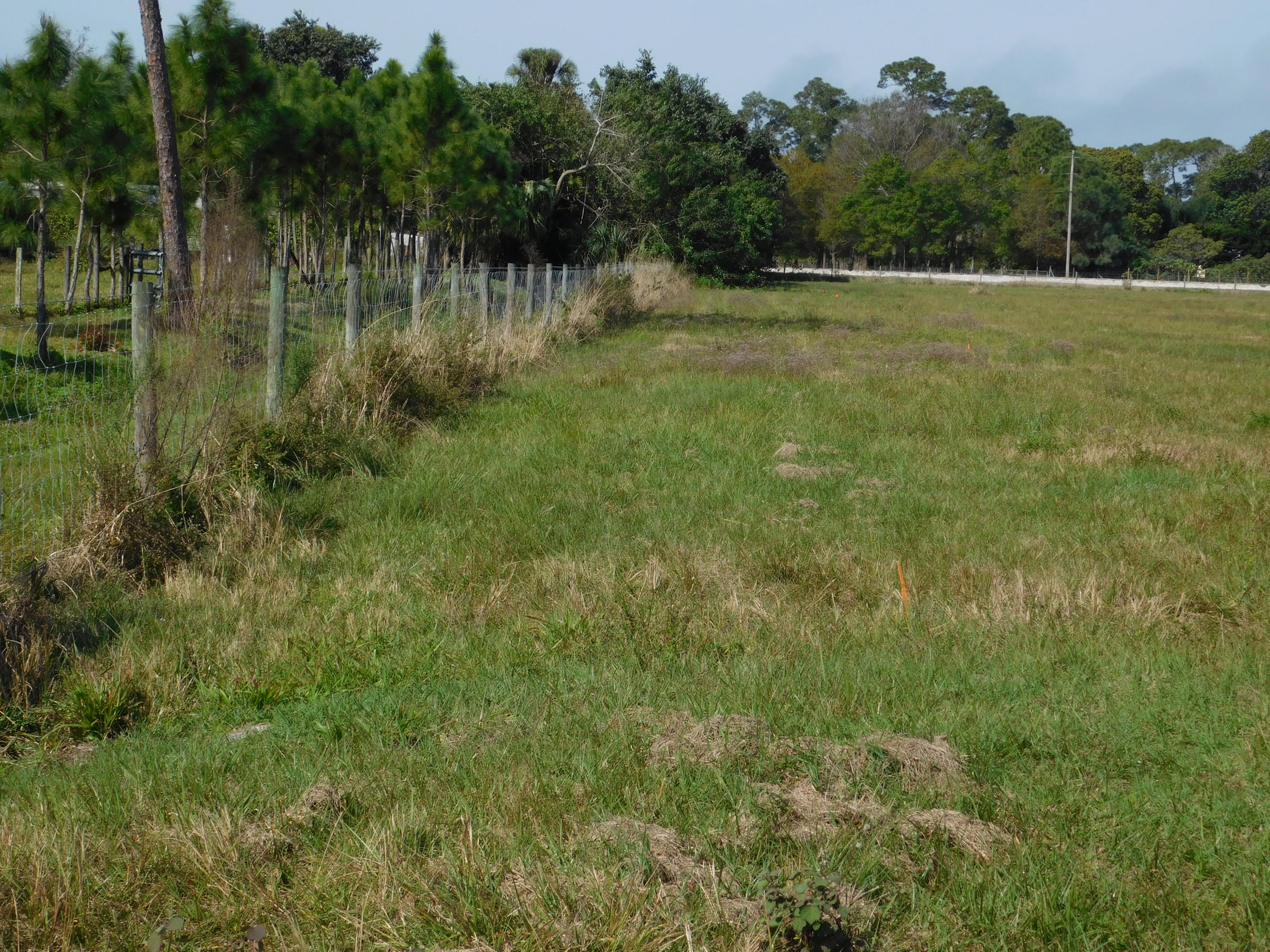 Xxx B Road Loxahatchee, FL 33470 - Photo 8 of 8 WESTERN VIEW TO B RD