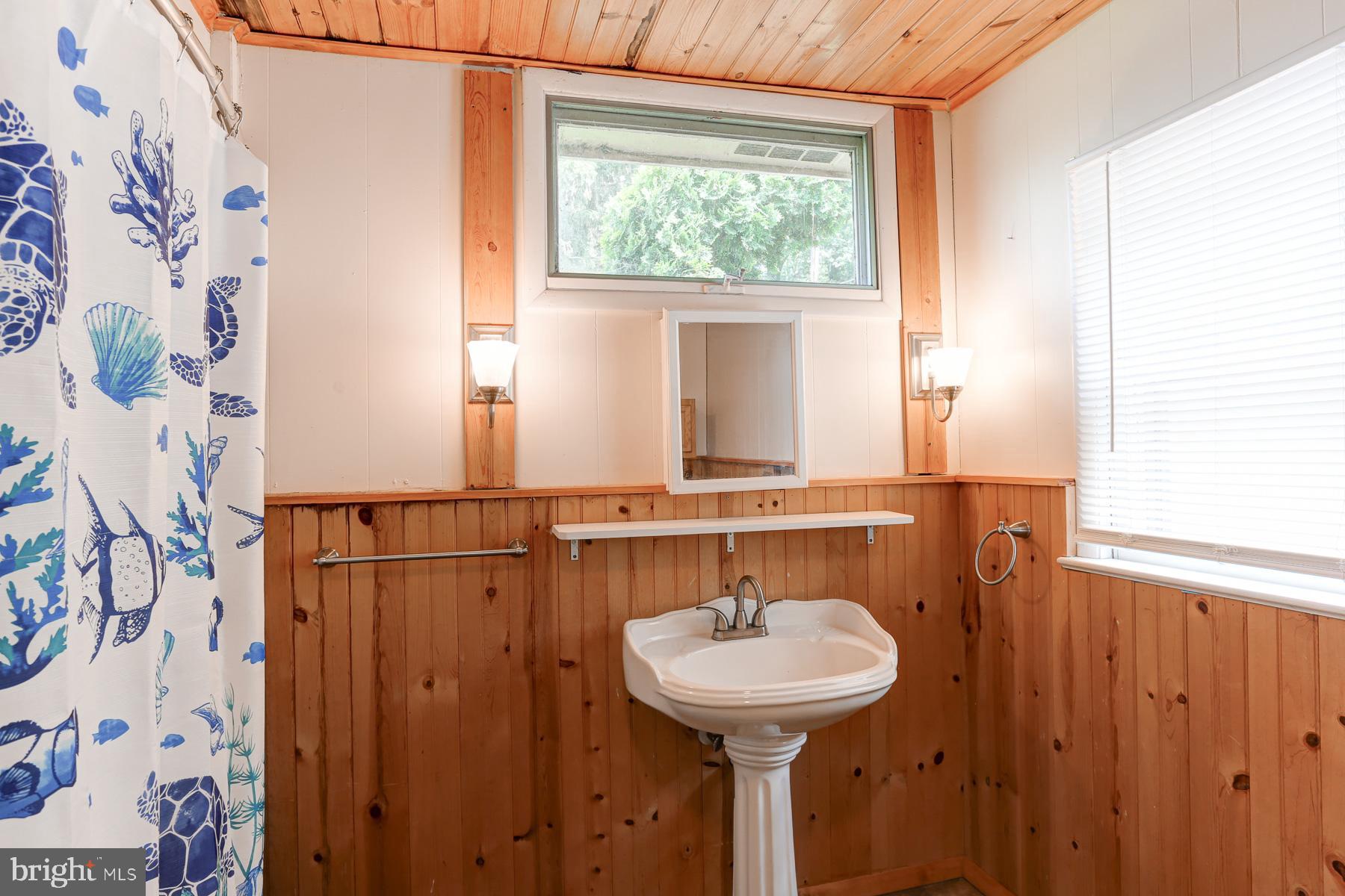 823 Silver Lake Road Lewisberry, PA 17339 - Photo 13 of 24 a bathroom with a sink and a mirror