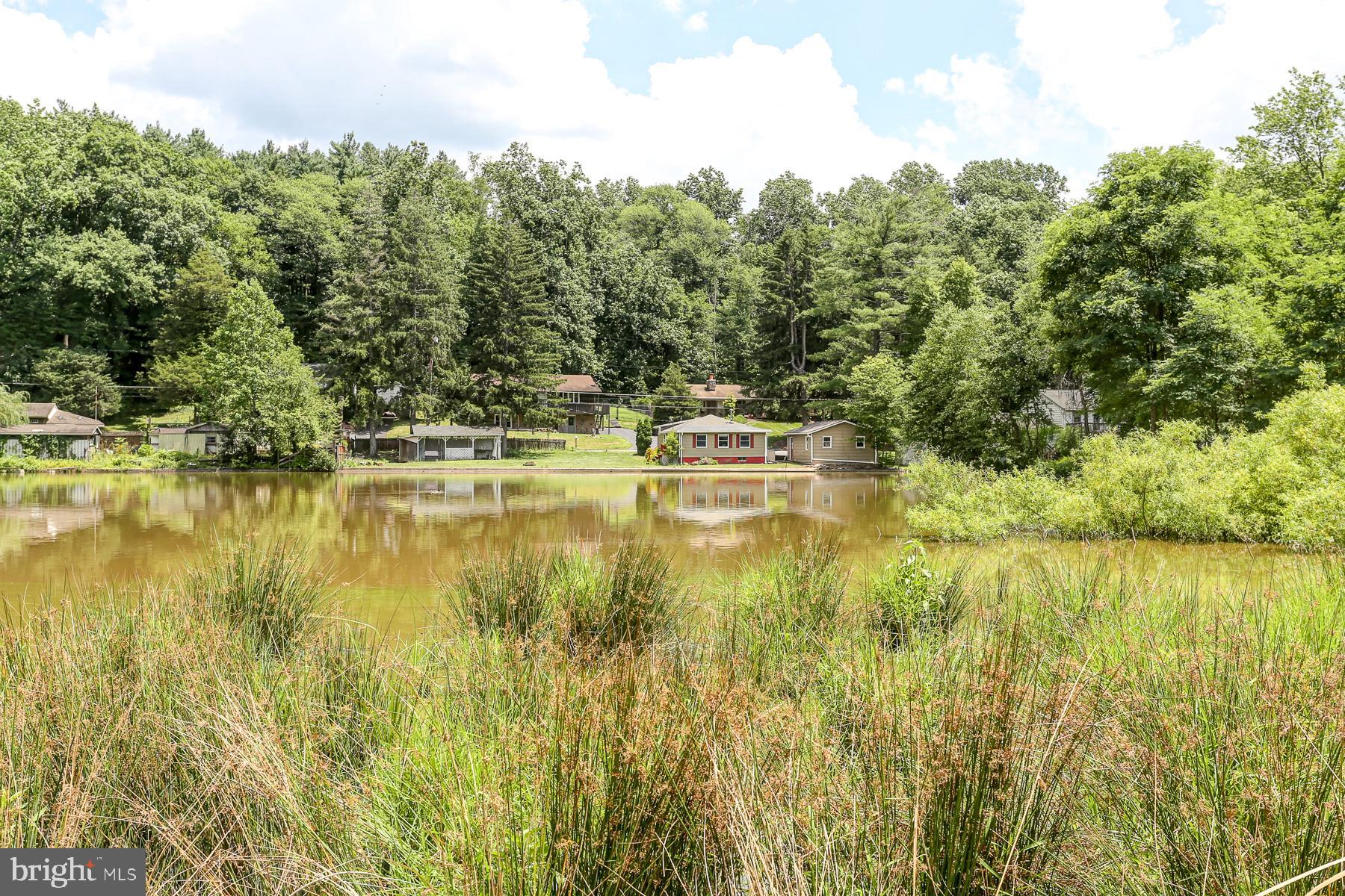 823 Silver Lake Road Lewisberry, PA 17339 - Photo 22 of 24 a view of lake view
