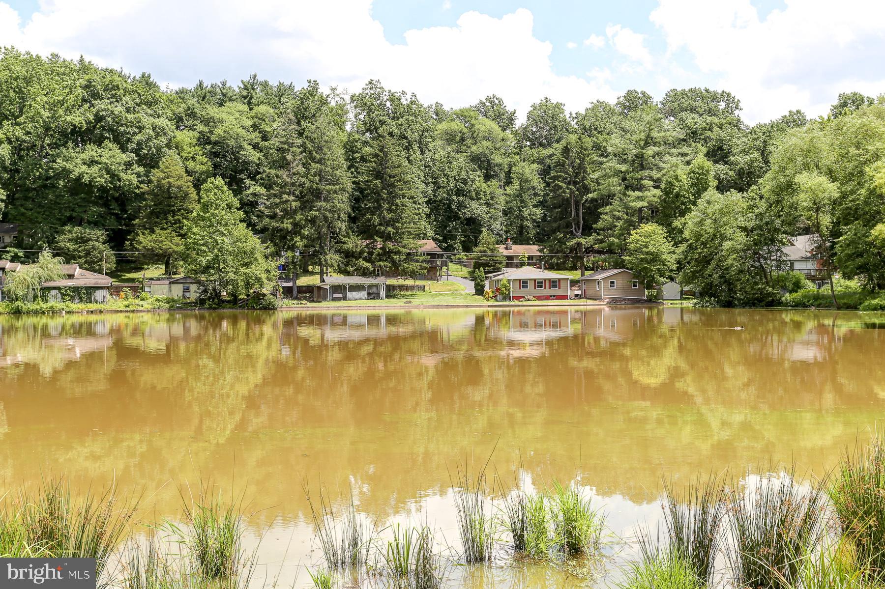 823 Silver Lake Road Lewisberry, PA 17339 - Photo 24 of 24 a view of a lake with a trees in the background