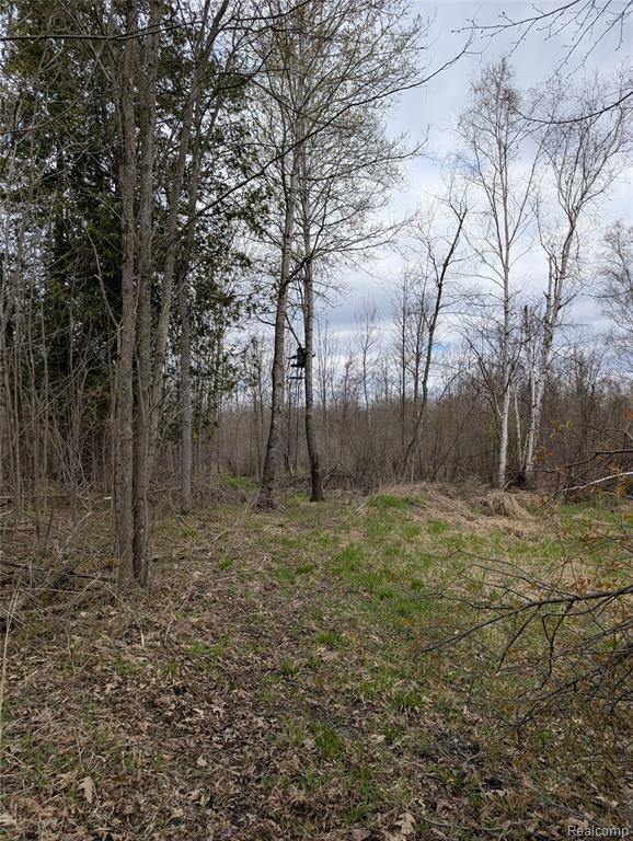 2889 Mill Station Road Hale, MI 48739 - Photo 24 of 33