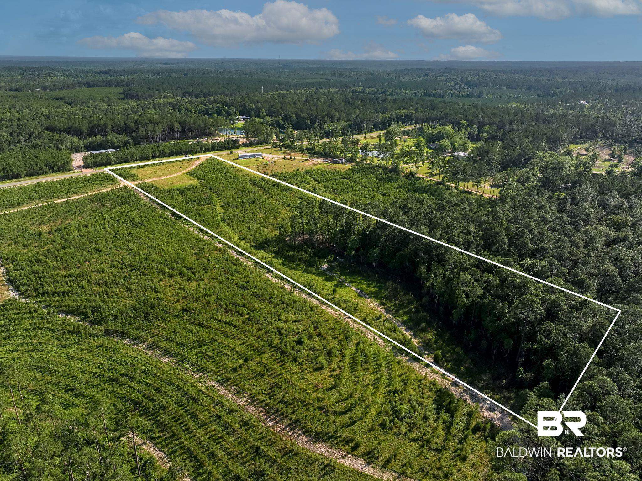 18689 Horseneck Road Bay Minette, AL 36507 - Photo 5 of 7