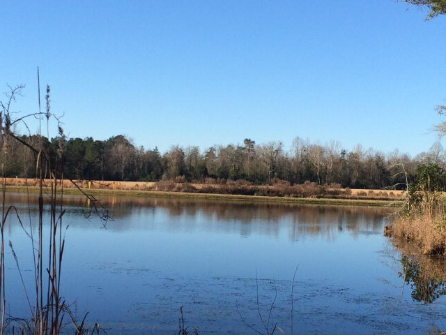 302/ Wagener Road Aiken, SC 29801 - Photo 1 of 1