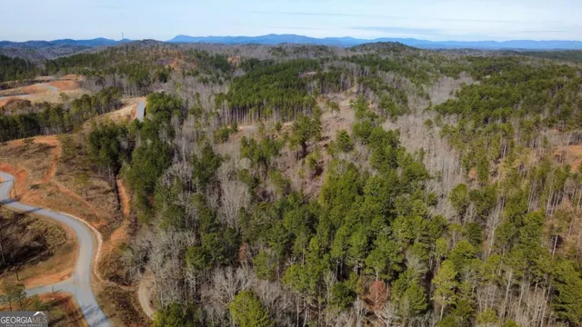a view of a forest with mountains in the background