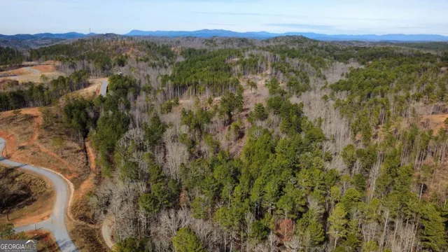 a view of a forest with mountains in the background