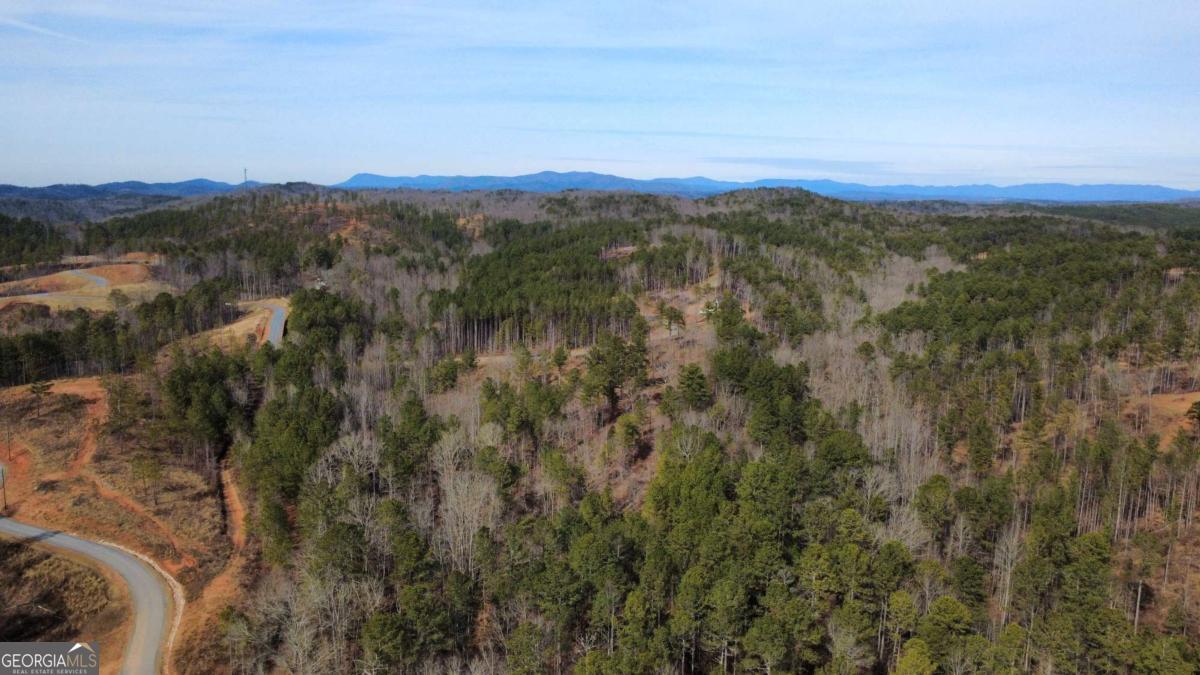 Lot 108 Blalock Mountain Road Talking Rock, GA 30175 - Photo 3 of 21 a view of mountain view with mountains in the background