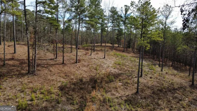 a view of outdoor space with trees