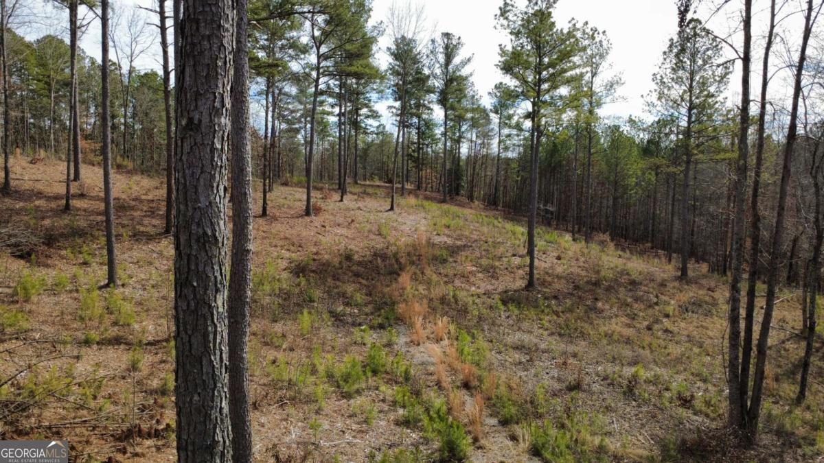 Lot 108 Blalock Mountain Road Talking Rock, GA 30175 - Photo 8 of 21 a view of outdoor space with trees