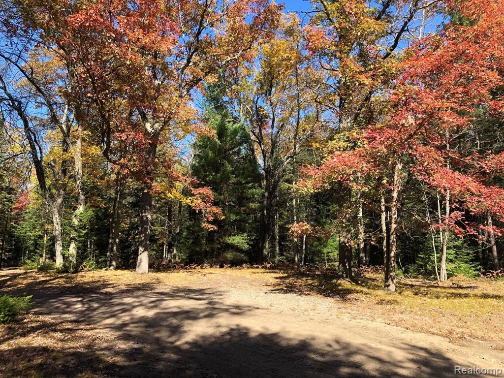 0 Woodbridge Road St. Helen, MI 48656 - Photo 1 of 16