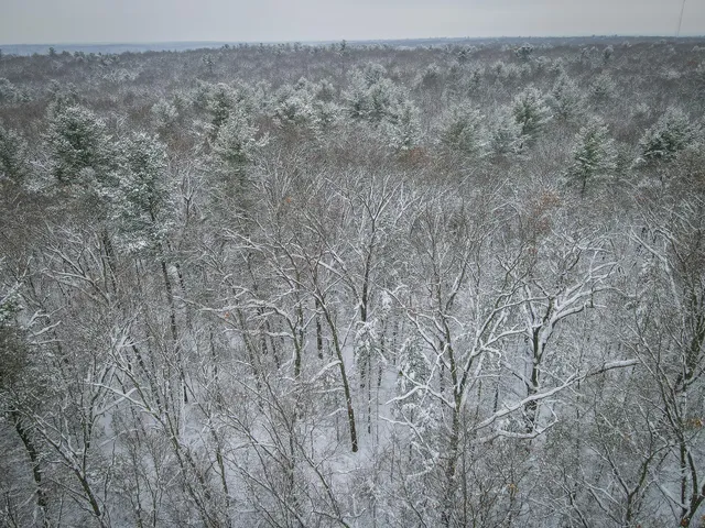 $86,900 | V/l Nichols Road, Holton, MI 49425