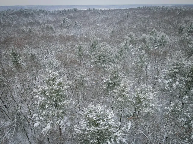 $86,900 | V/l Nichols Road, Holton, MI 49425