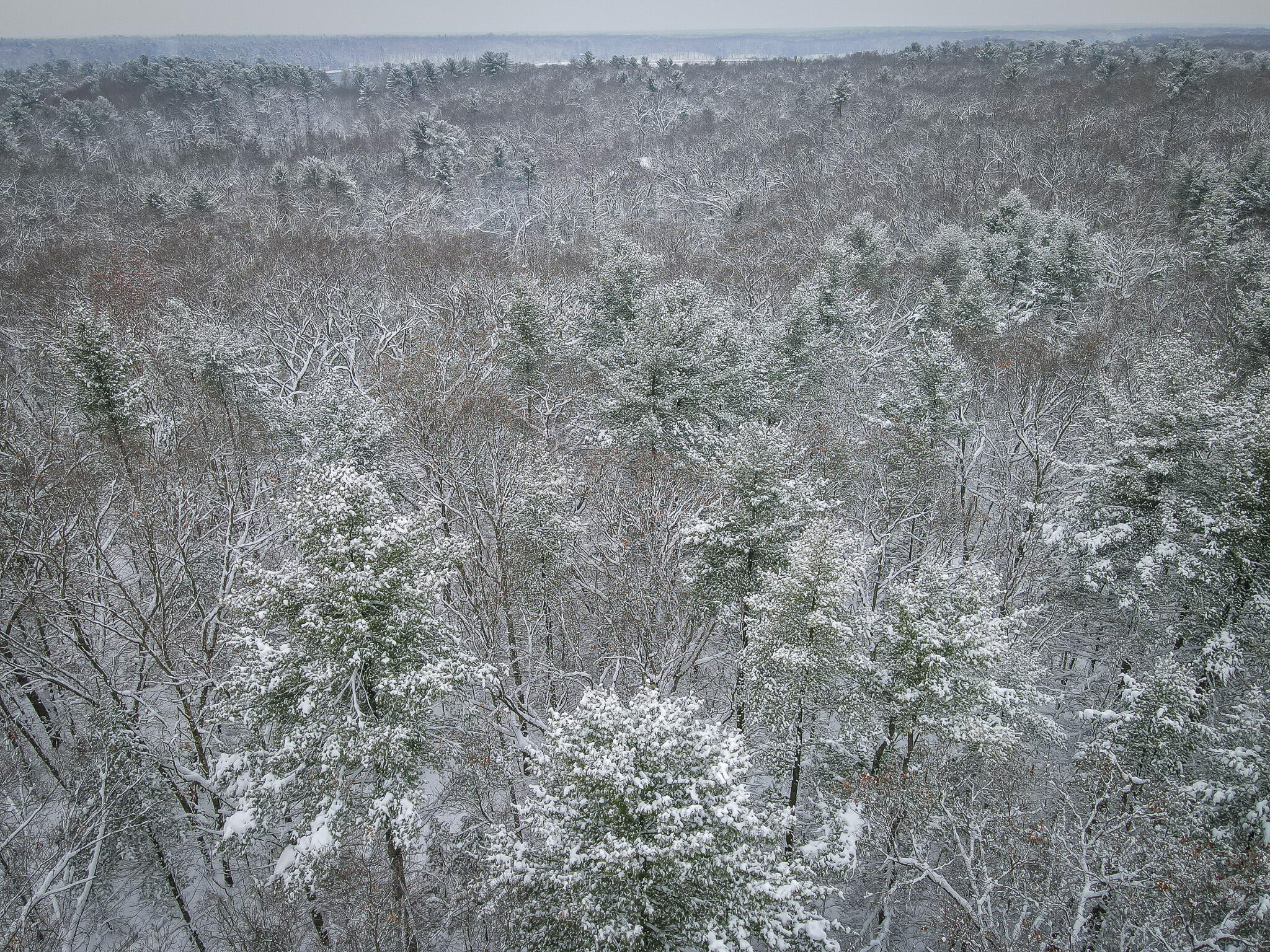 V/l Nichols Road Holton, MI 49425 - Photo 15 of 17 DJI_0990